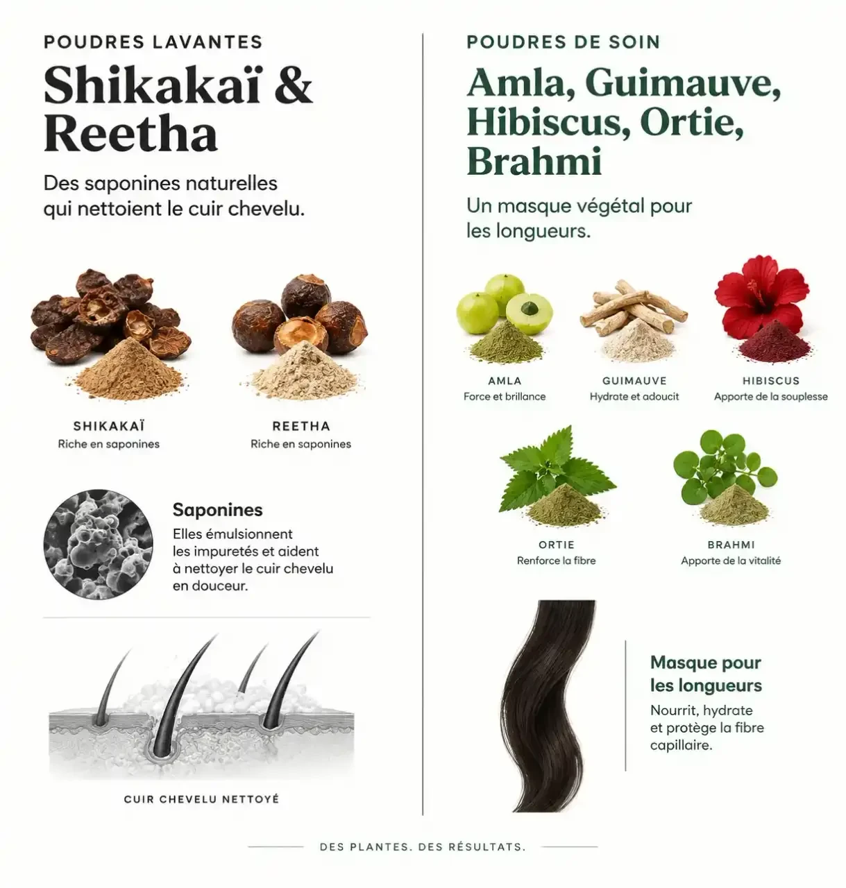 Différence entre poudres ayurvédiques lavantes et poudres de soin pour les cheveux